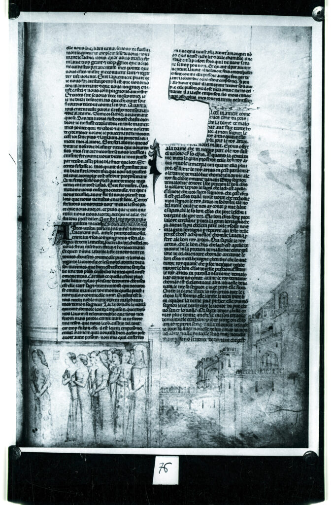 [Image: Immagine-1-678x1024.jpg]